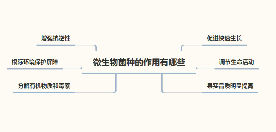 微生物菌种的作用以及管理的相关流程介绍